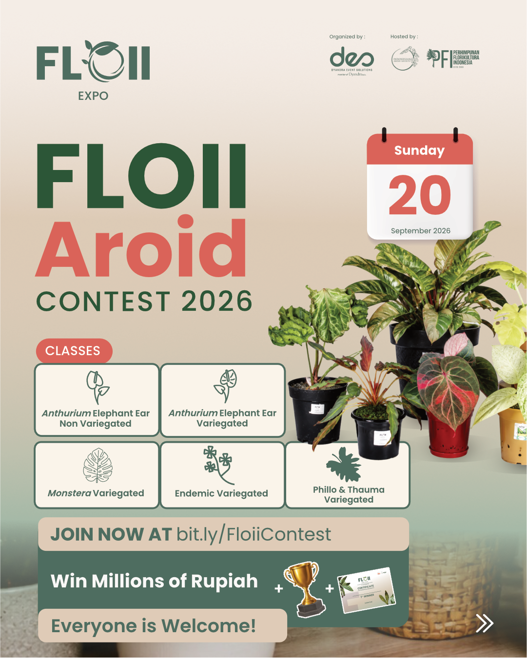 AROID CONTEST